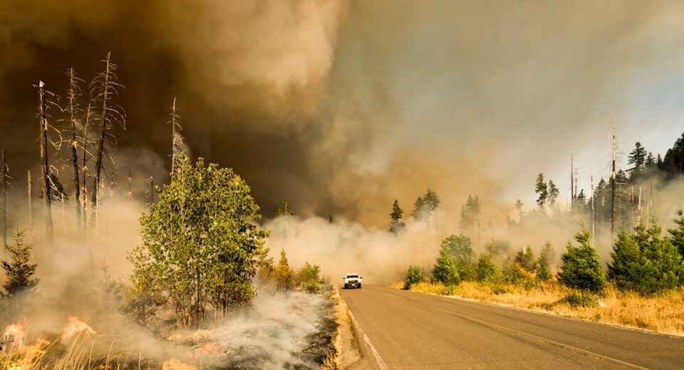 Wildfire Recovery Permit Processing