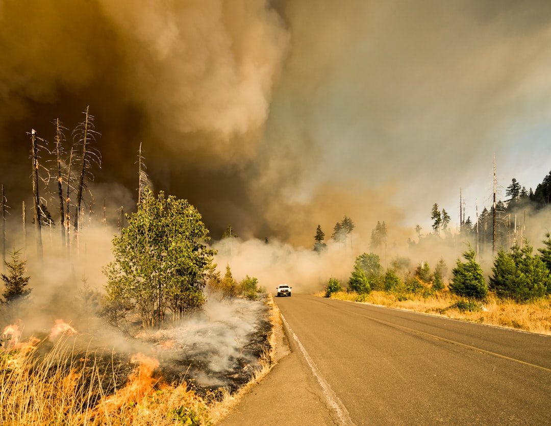 Wildfire Recovery Permit Processing